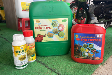 Phân Bón Cai Lậy Giá Rẻ