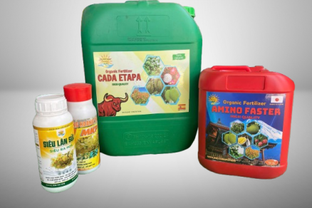 Phân bón & thuốc bảo vệ thực vật chất lượng bí quyết tăng năng suất cây ăn trái