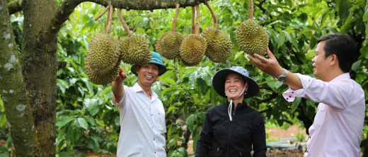 Vật Tư Nông Nghiệp Quang Nghi