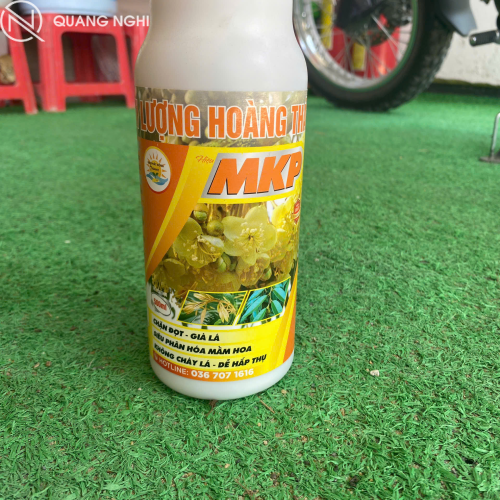 Phân Bón MKP Chai 1L
